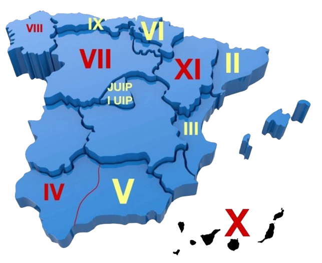 Estructura de la UIP España
